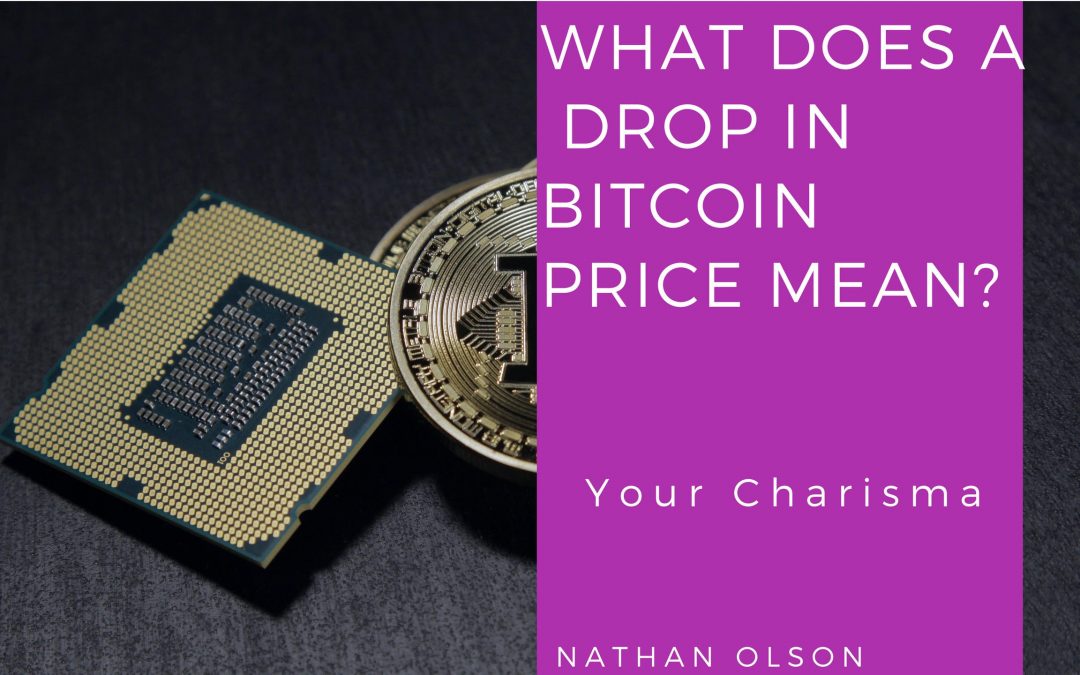 What Does the Drop in Bitcoin Price Mean? | How to Read Market Trends