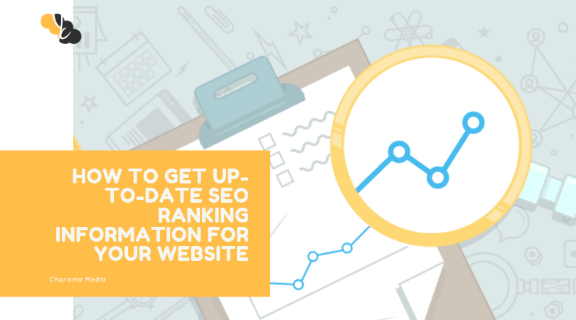 How to Get Up-to-Date SEO Ranking Information for Your Website