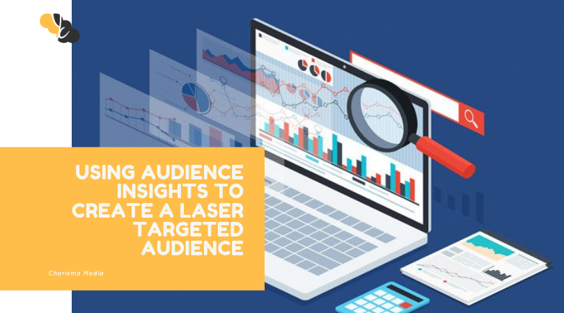 Using Audience Insights to Create a Laser Targeted Audience
