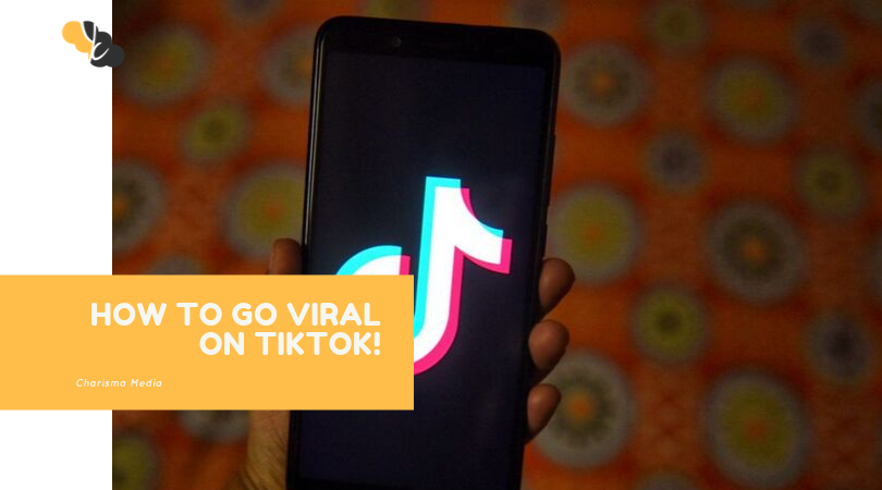 How to Go Viral on TikTok: 0-1M Followers FAST!