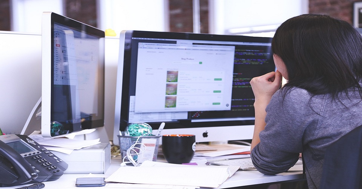 seo expert