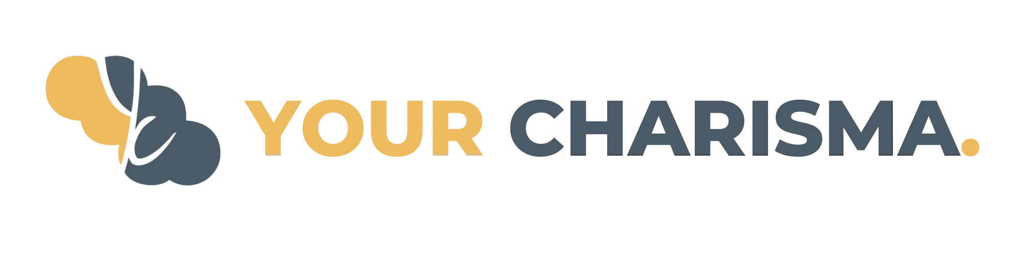 Your Charisma Banner Trans (1) Your Charisma Banner