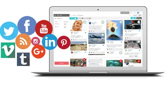 Top 5 Best Social Aggregator Tools to Embed Feeds on Your Website