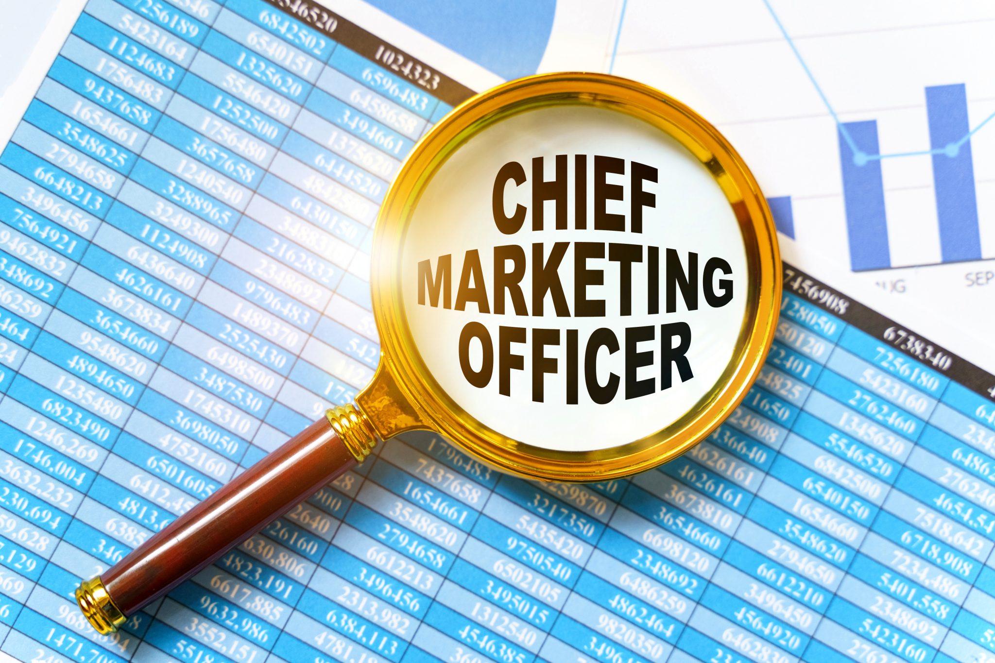 Benefits Of Hiring A Fractional CMO