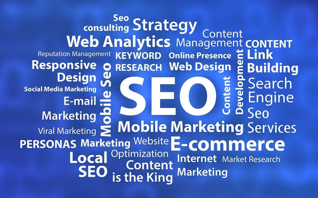 seo consultant