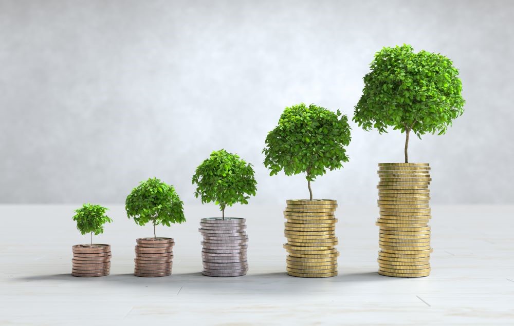 How Can a White-Label SEO Agency Improve Your Profits?
